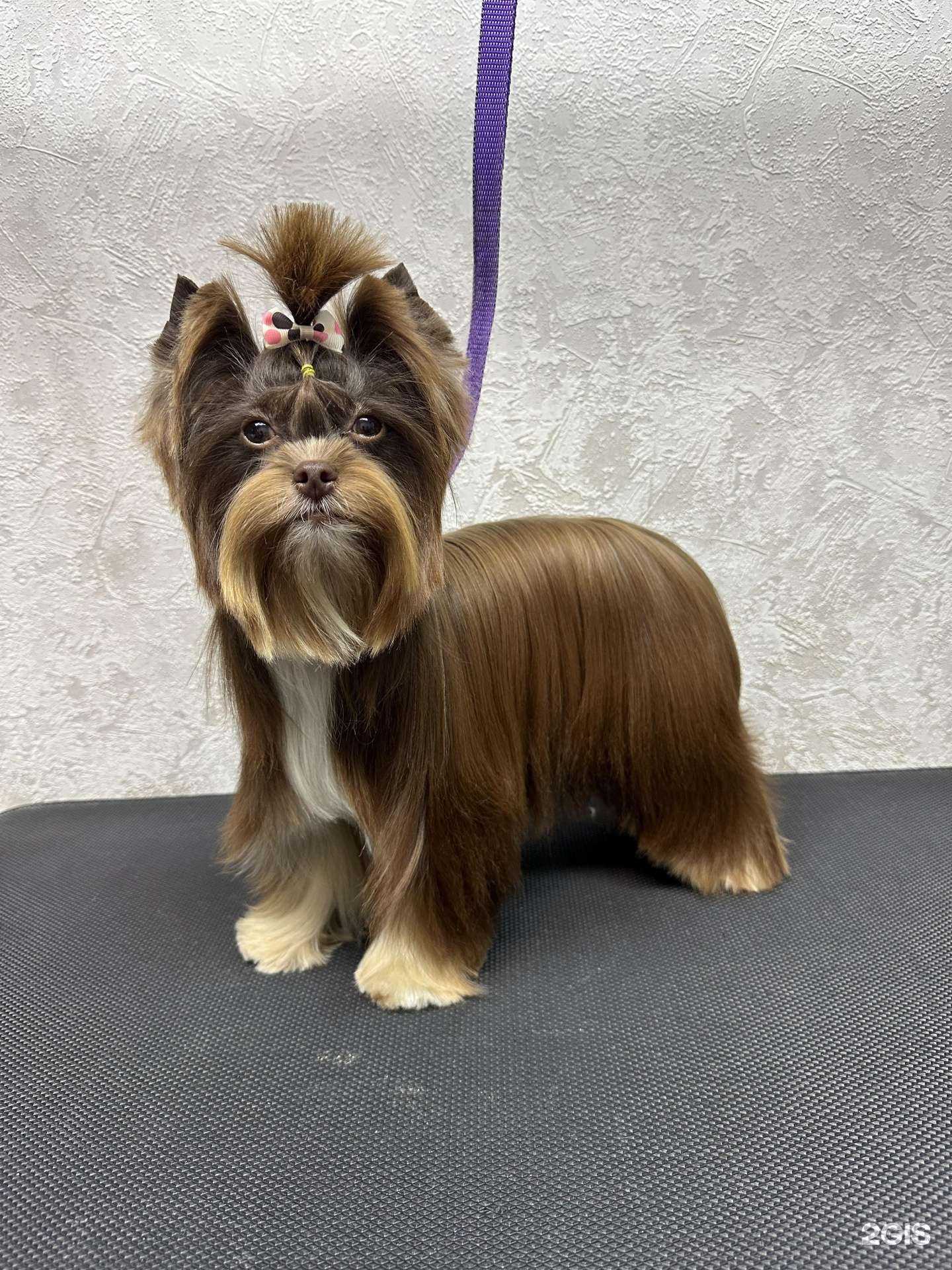 Отзывы на компанию Империя стрижек в Комсомольске-на-Амуре c фото