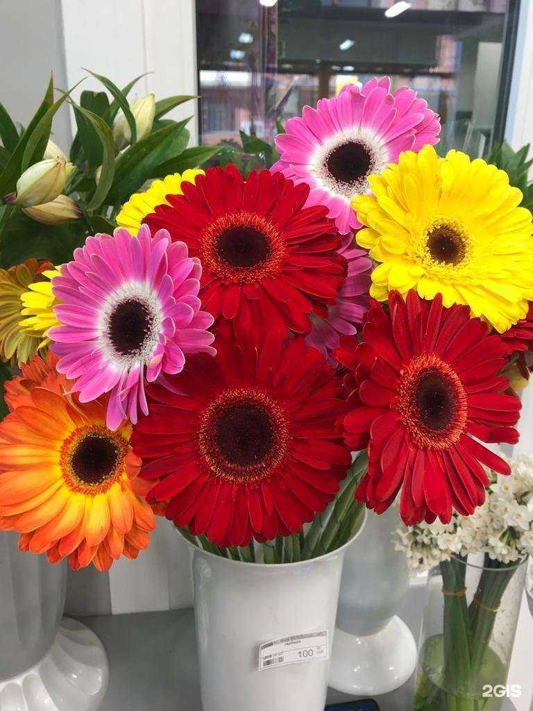 Отзывы на компанию Цветочный склад в г. Краснодар c фото