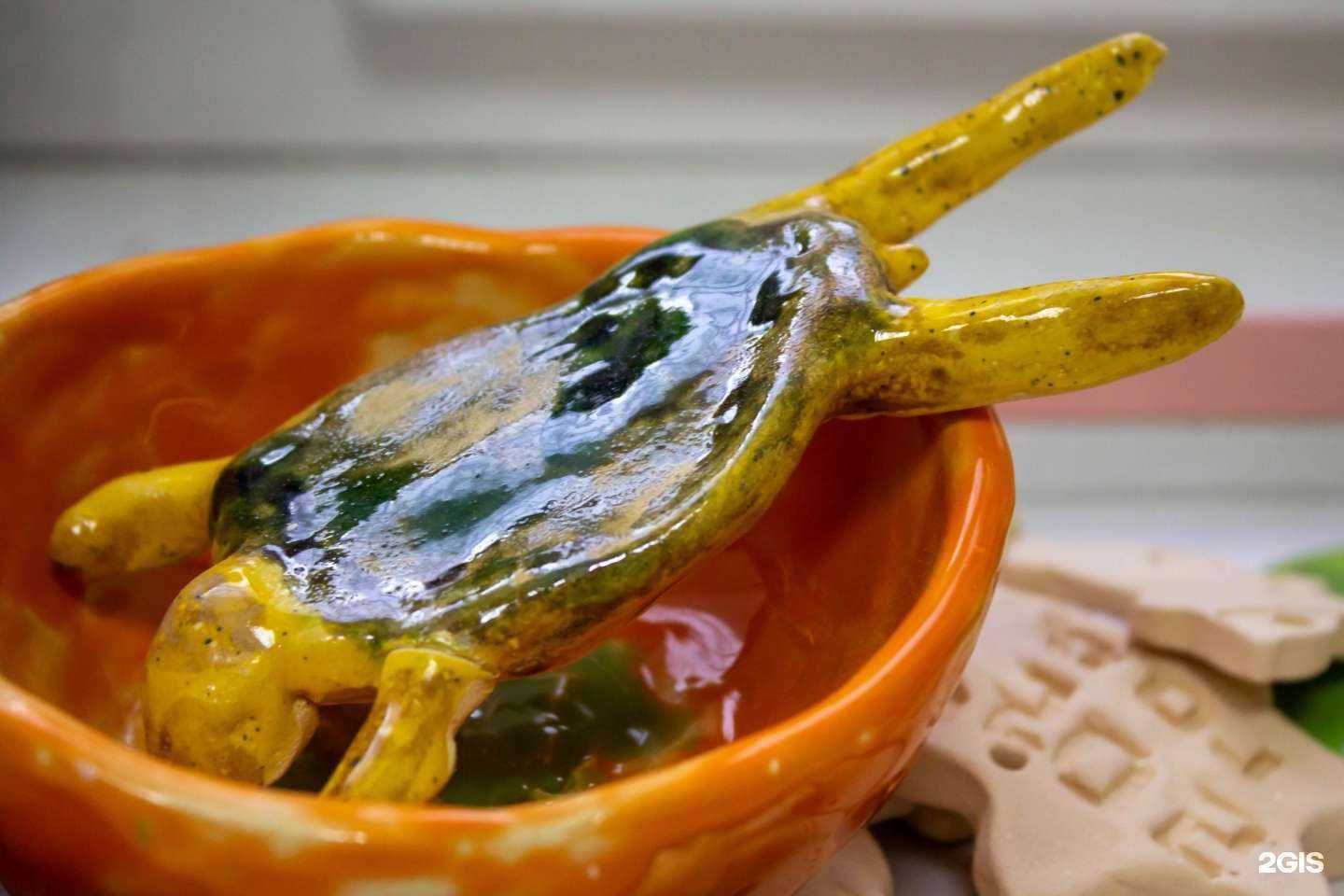 Отзывы на компанию Капсула знаний в Чебоксарах c фото