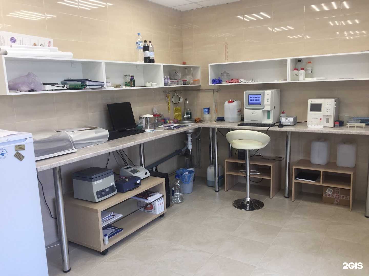 Отзывы на компанию Мир животных в Воронеже c фото