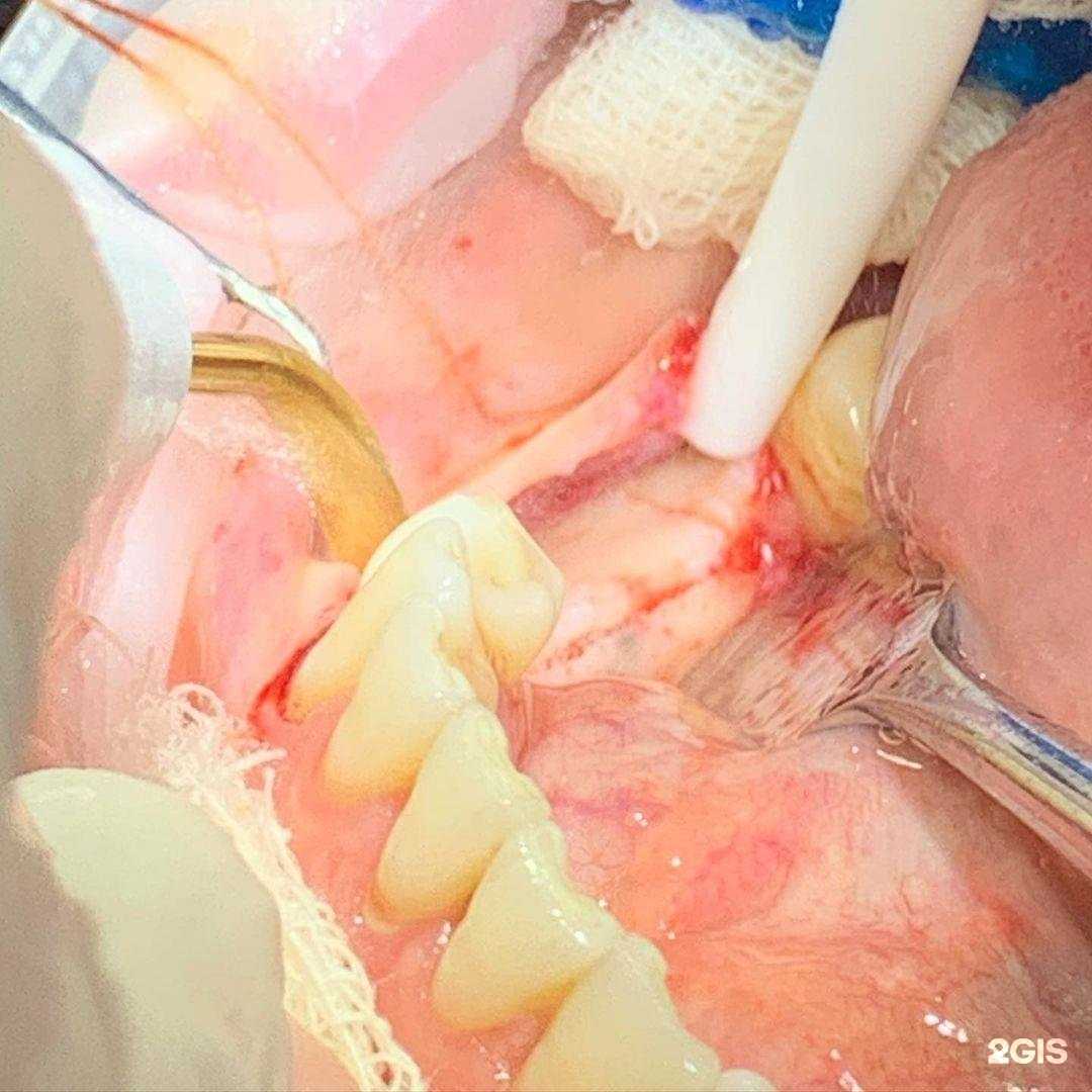 Отзывы на компанию Айболит в г. Каспийск c фото