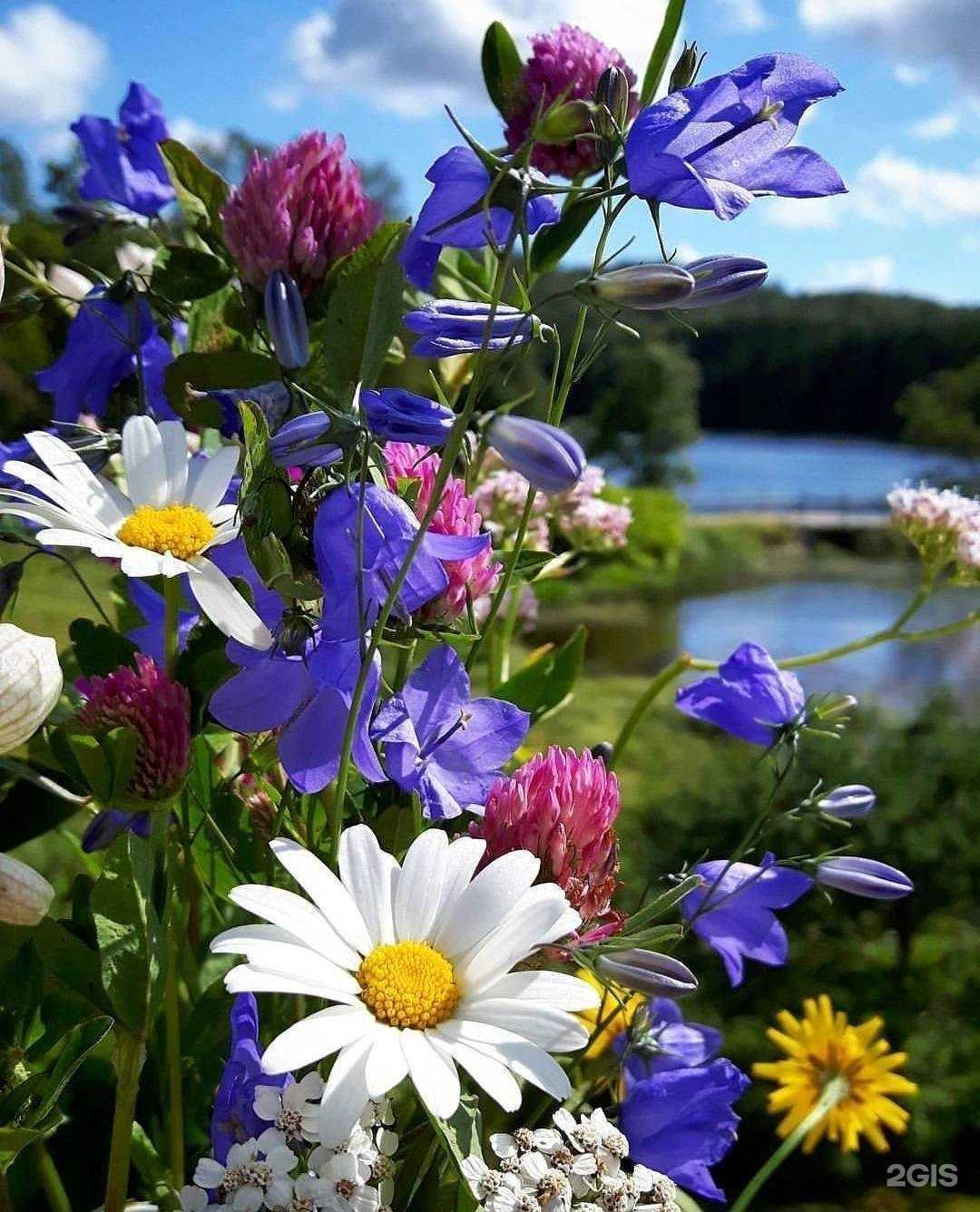 Отзывы на компанию Барс Профи в Казани c фото