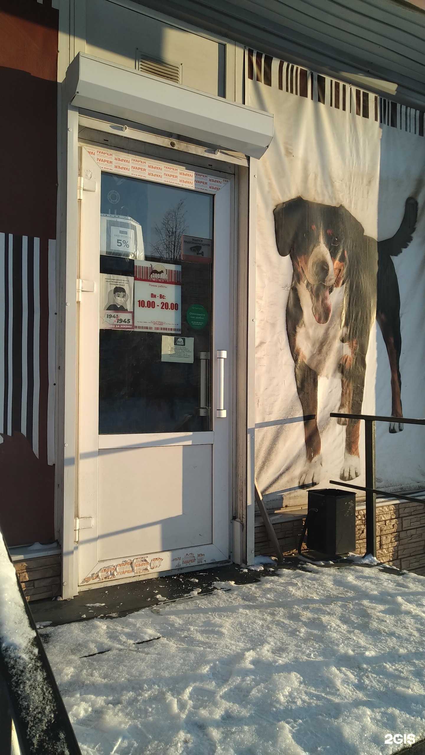 Отзывы на компанию Зоолог в г. Великий Новгород c фото