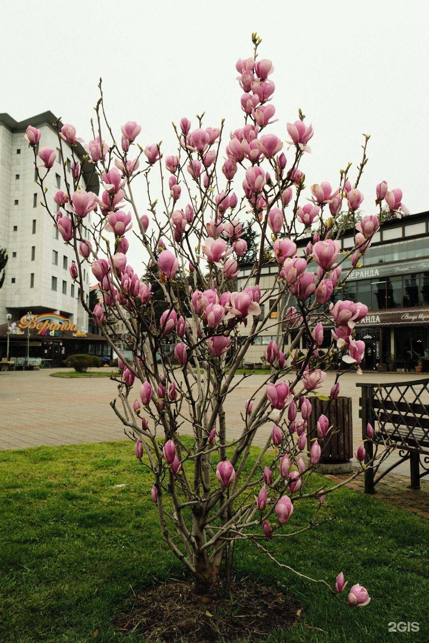 Отзывы на компанию Веранда kids в Туапсе c фото - фотография 2 из 2