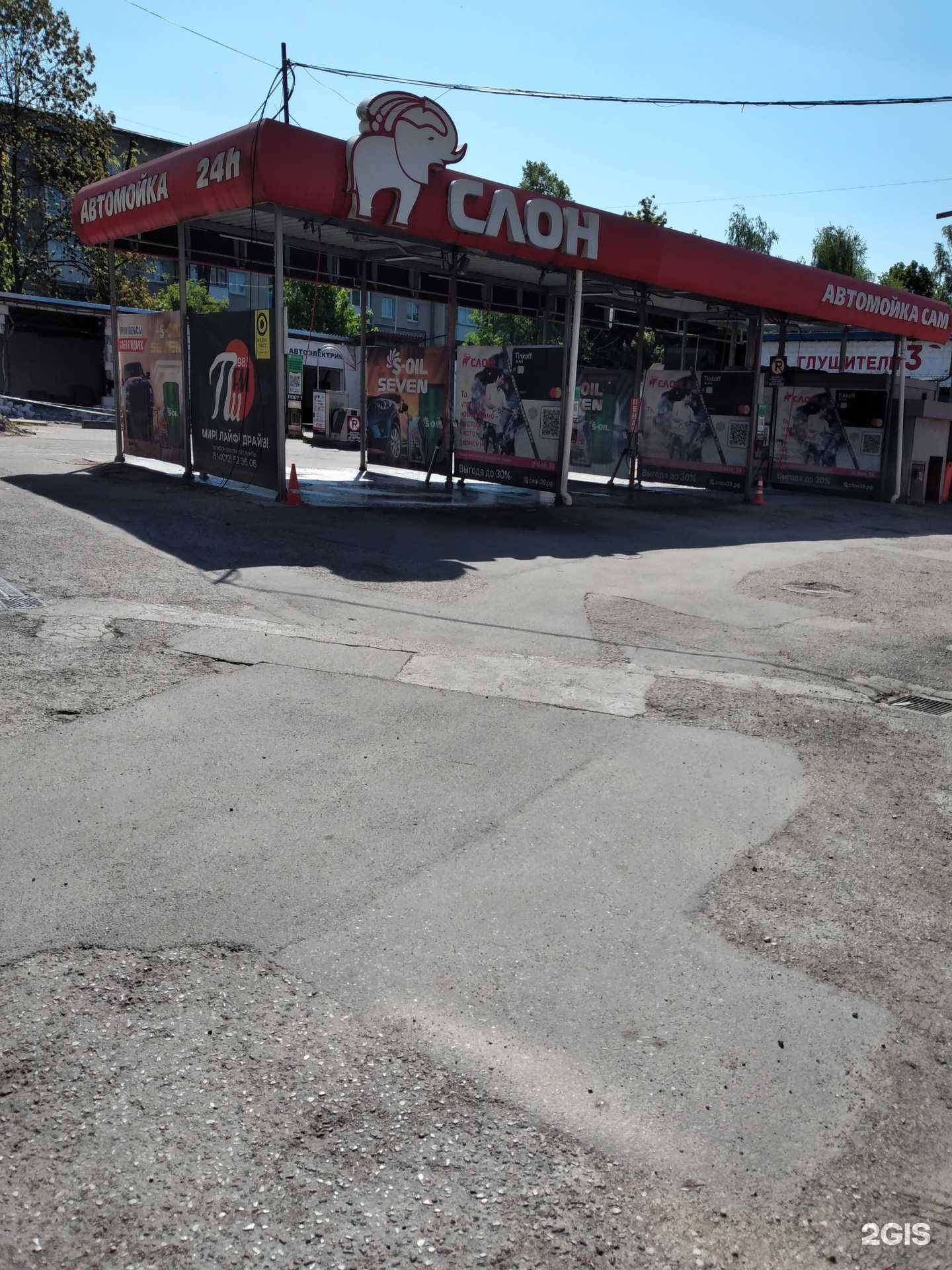 Отзывы на компанию Слон в Калининграде c фото