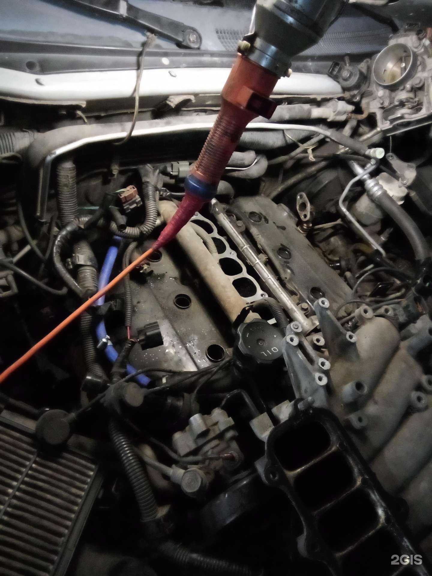 Отзывы на компанию Avto Motrs в Бийске c фото