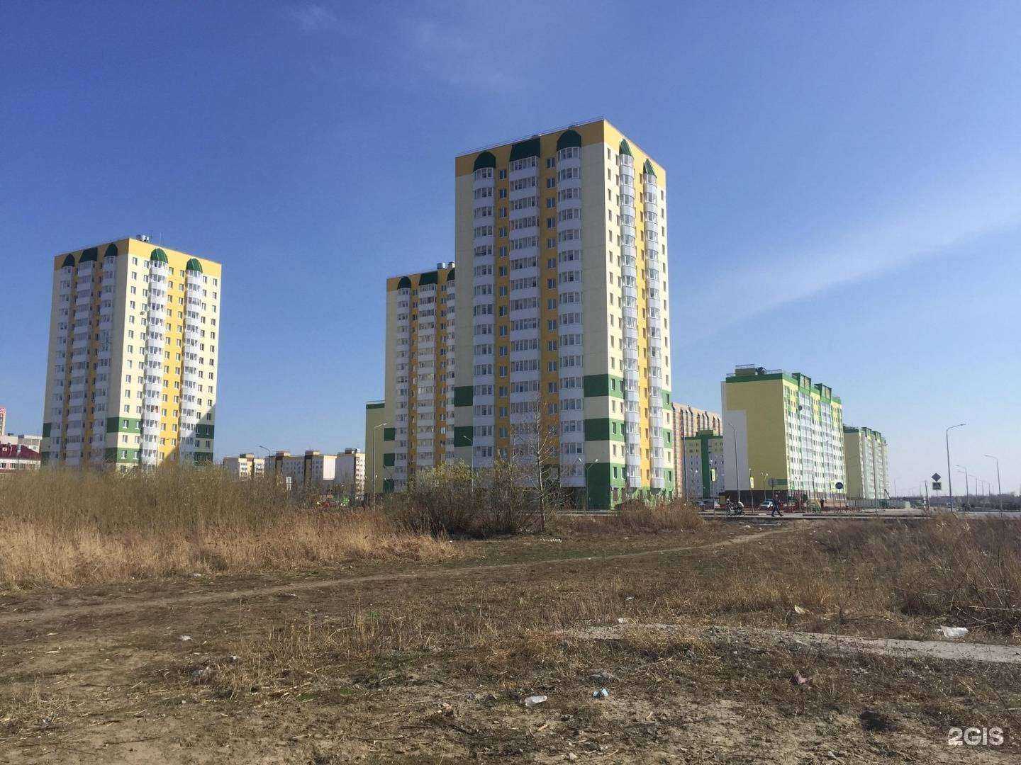 Отзывы на компанию Honey pets в Тюмени c фото - фотография 2 из 2