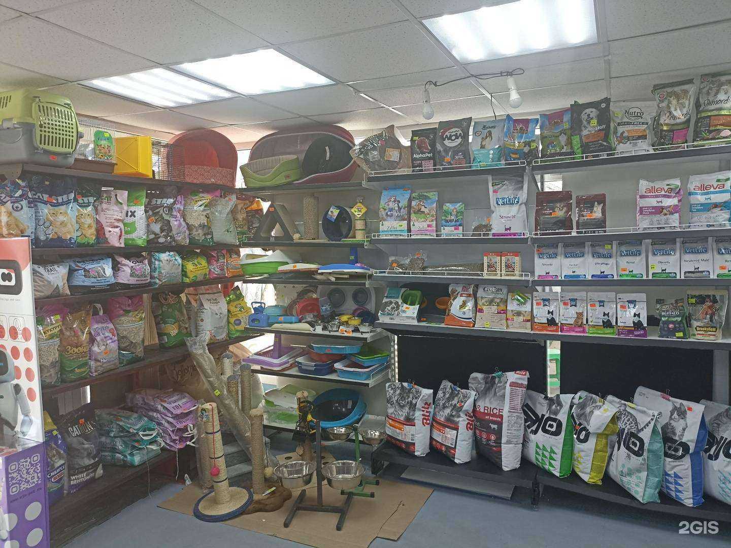 Отзывы на компанию Домашние Лапки в Сертолове c фото