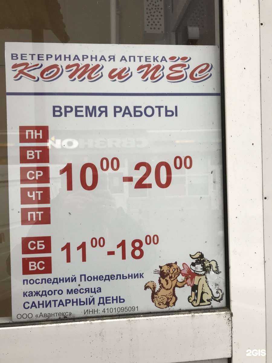 Отзывы на компанию Кот и пёс в Петропавловске-Камчатском c фото