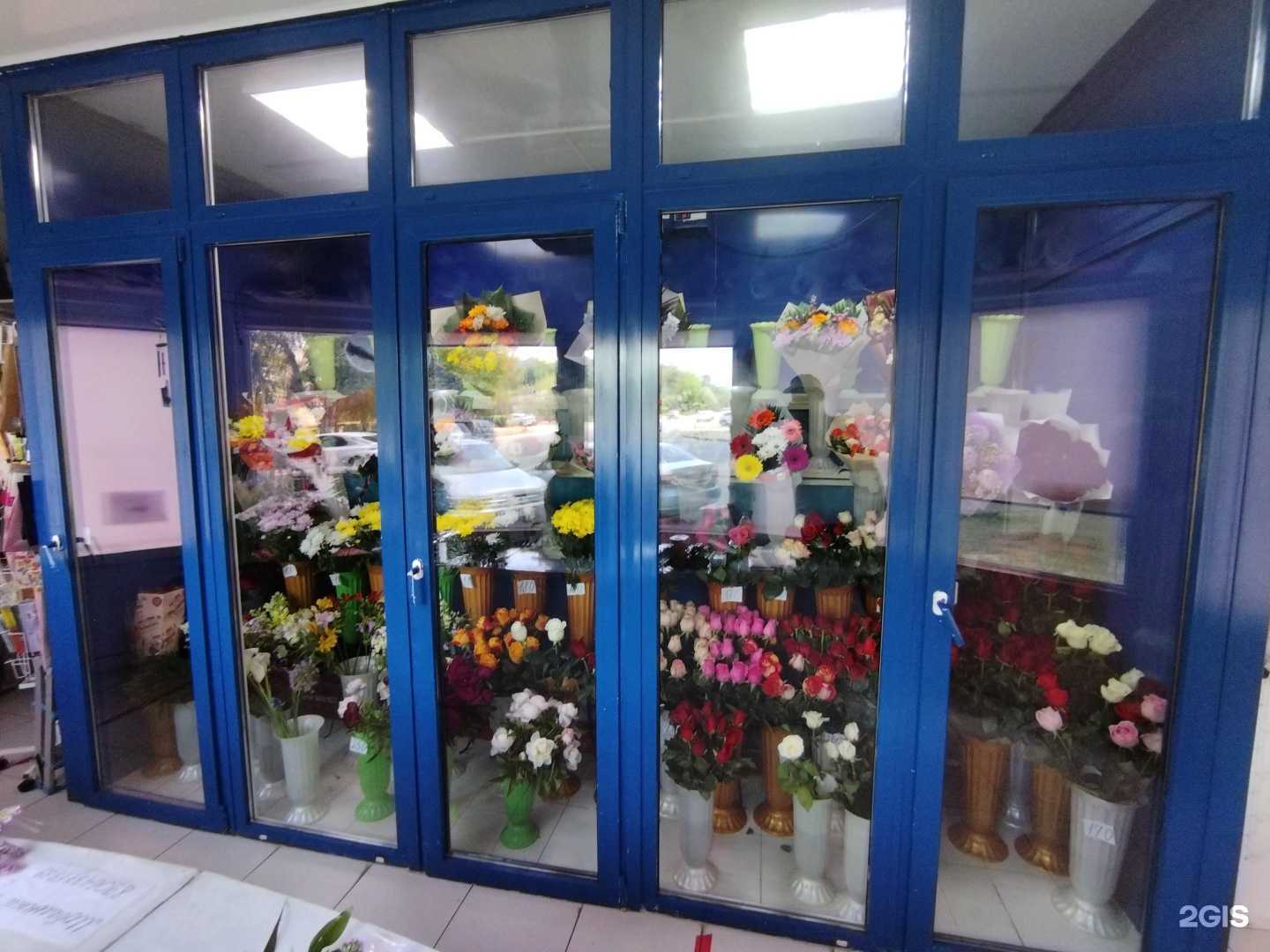 Отзывы на компанию Вероника в Элисте c фото