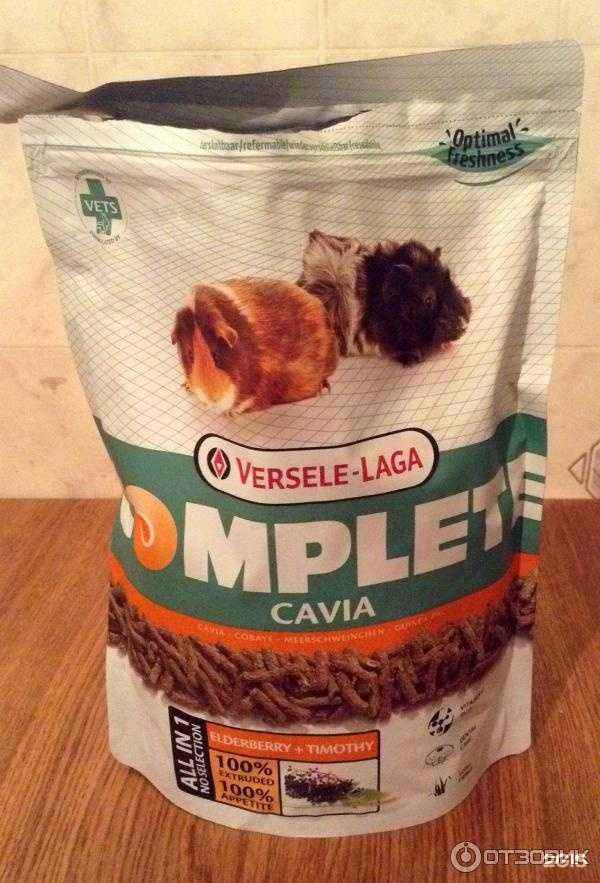 Отзывы на компанию Пинчер в Кемерове c фото