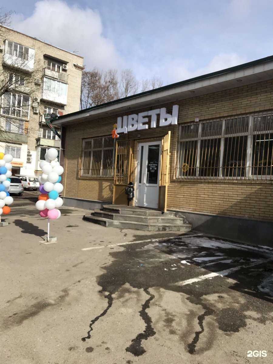 Отзывы на компанию Гироед в Пятигорске c фото - фотография 2 из 2