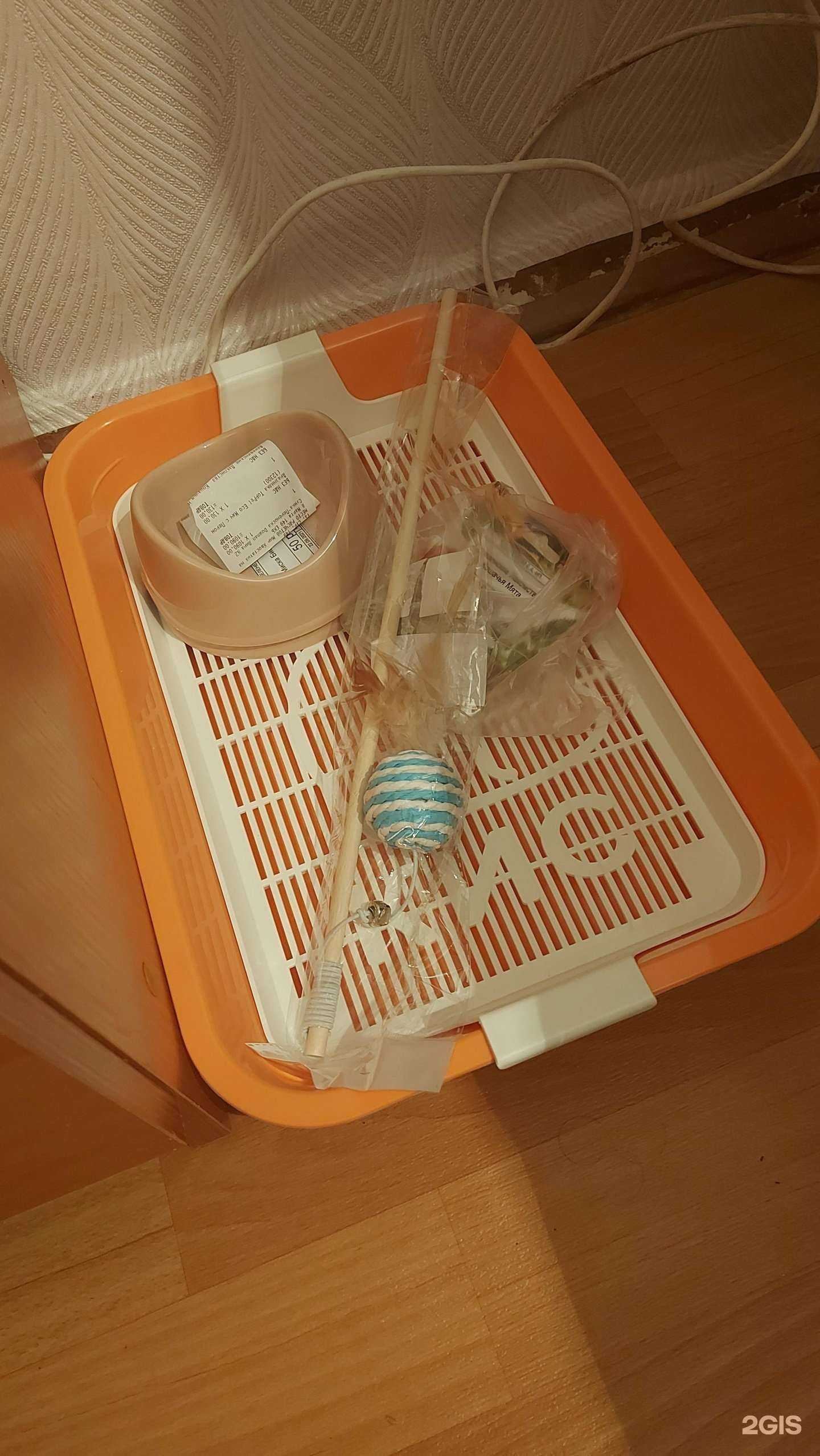 Отзывы на компанию Мир хвостатых в г. Екатеринбург c фото