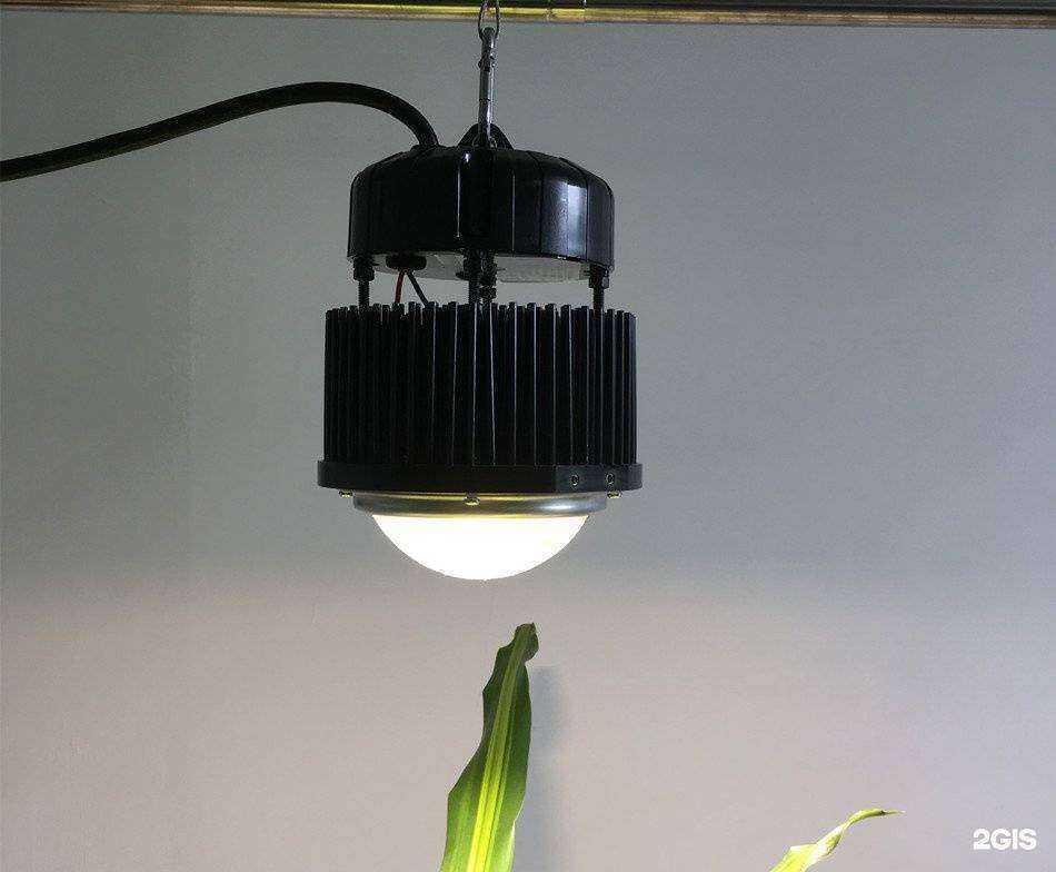 Отзывы на компанию Все для роста в г. Нижний Новгород c фото