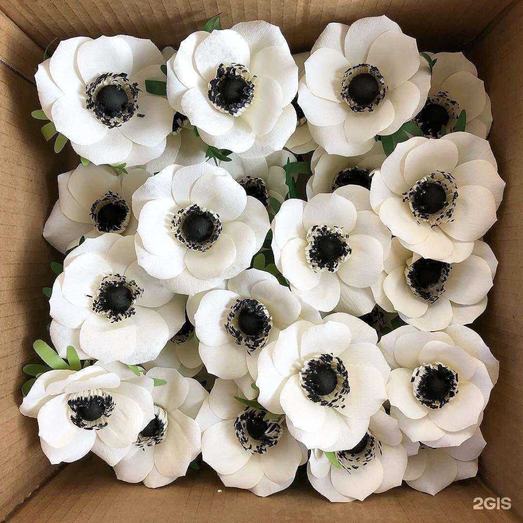 Отзывы на компанию Розовые сады Италии в Нижнекамске c фото