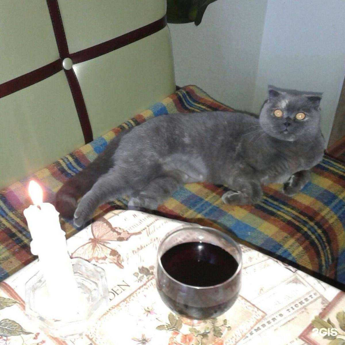 Отзывы на компанию Тагилстроевский ветеринарный участок в Нижнем Тагиле c фото