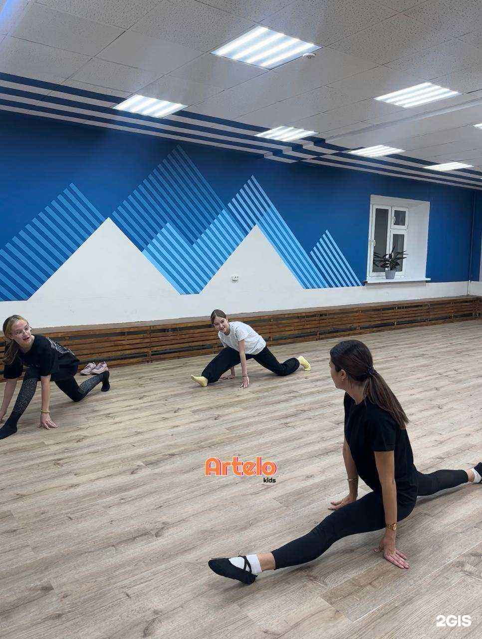 Отзывы на компанию Artelo kids в Казани c фото