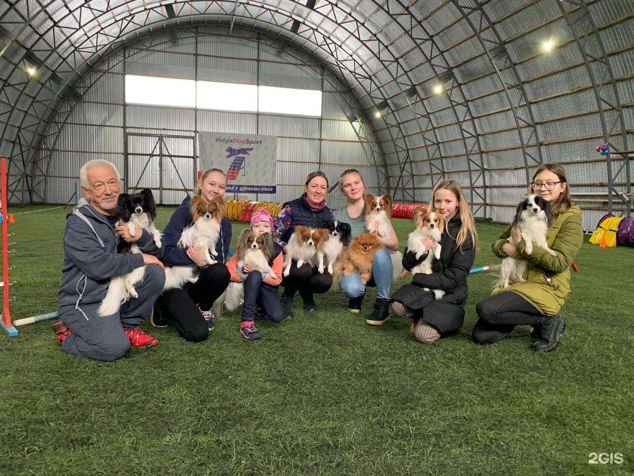 Отзывы на компанию ВолгаДогСпорт в г. Тольятти c фото