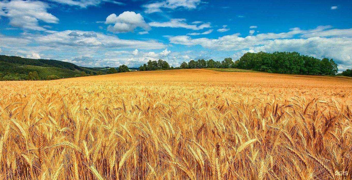 Отзывы на компанию Тотем в Тюмени c фото