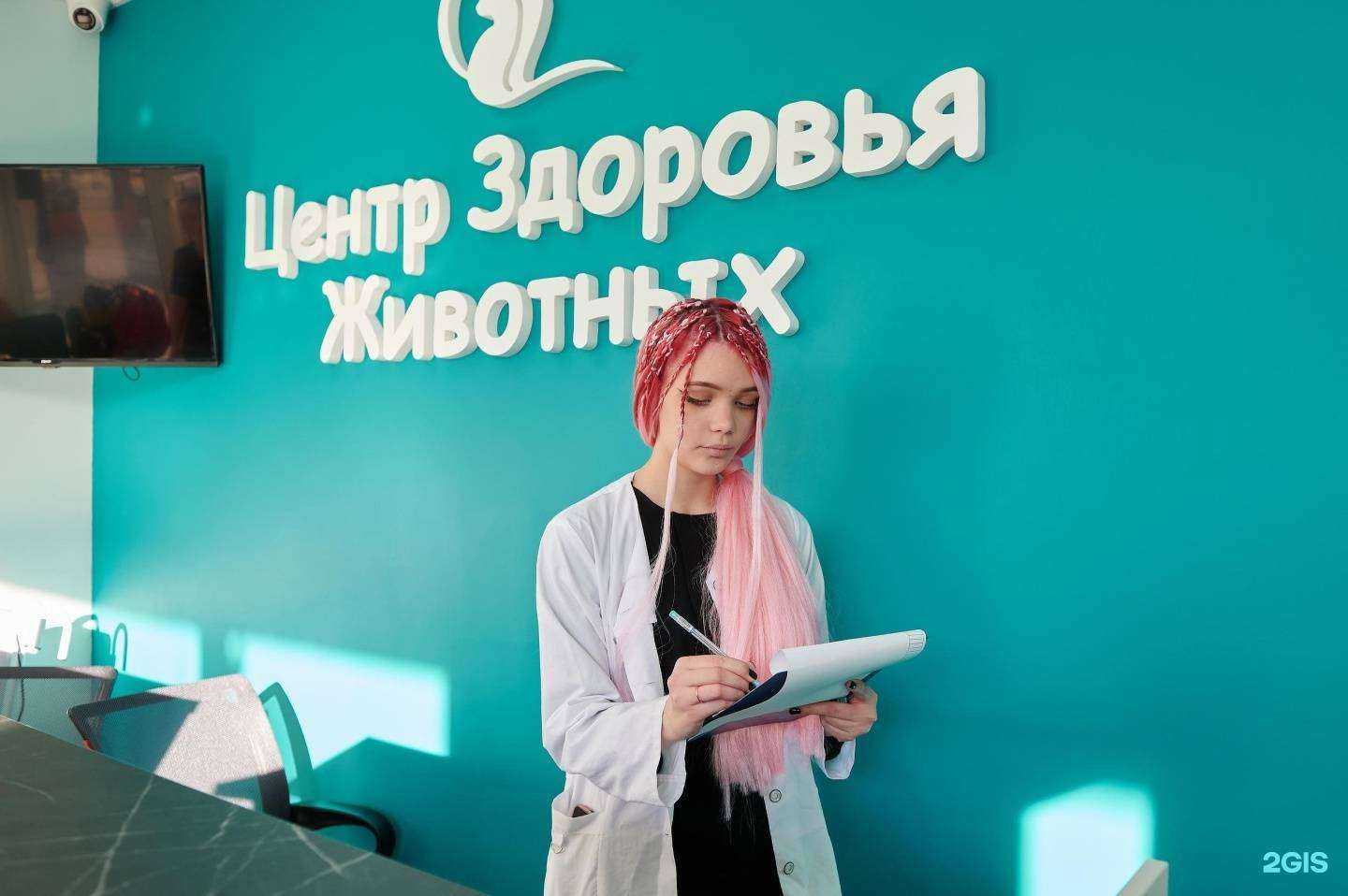 Отзывы на компанию Центр Здоровья Животных в г. Сочи c фото