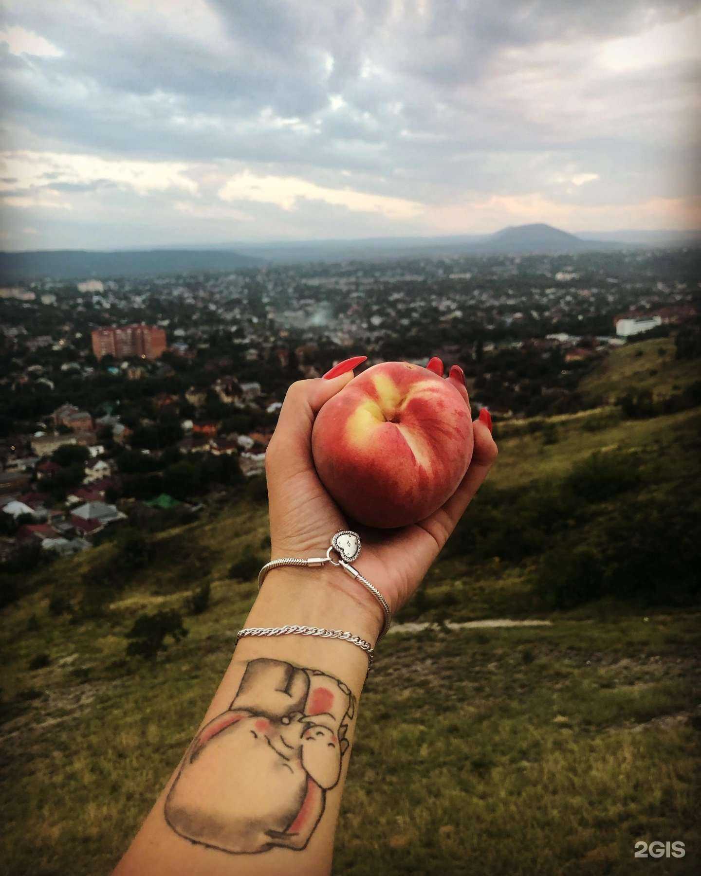 Отзывы на компанию Кнут и пряник в Пятигорске c фото