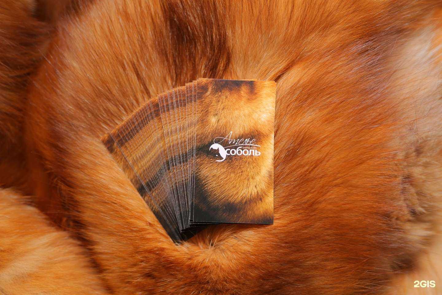 Отзывы на компанию Соболь в г. Липецк c фото