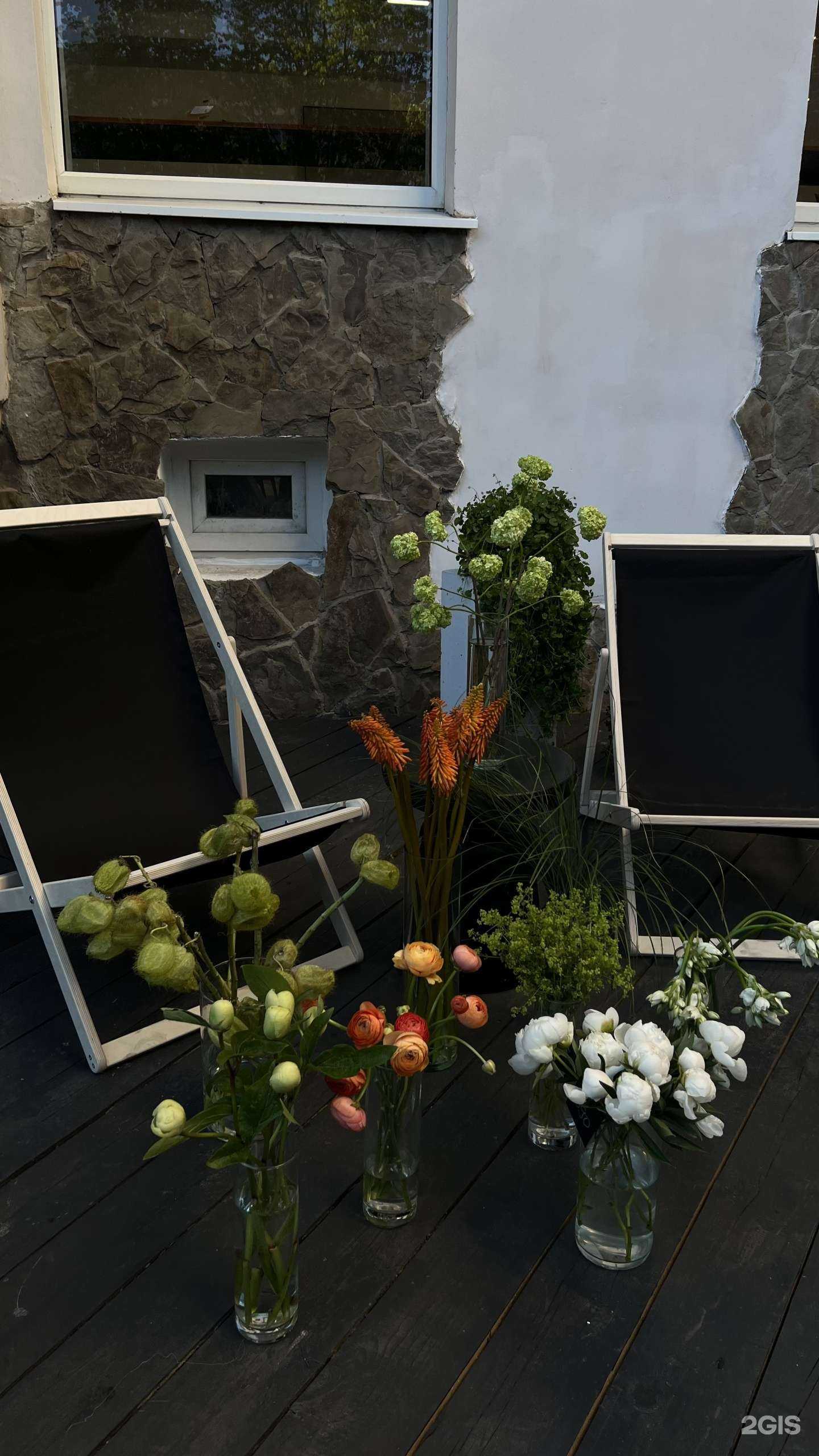 Отзывы на компанию Плющ в Йошкар-Оле c фото