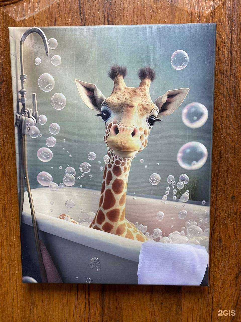 Отзывы на компанию Жирафик в Комсомольске-на-Амуре c фото