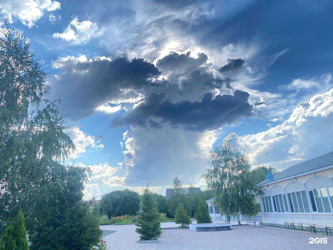 Отзывы на компанию Школа самбо и дзюдо в г. Реутов c фото