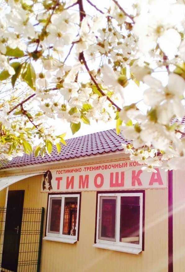 Отзывы на компанию Тимошка в Краснодаре c фото