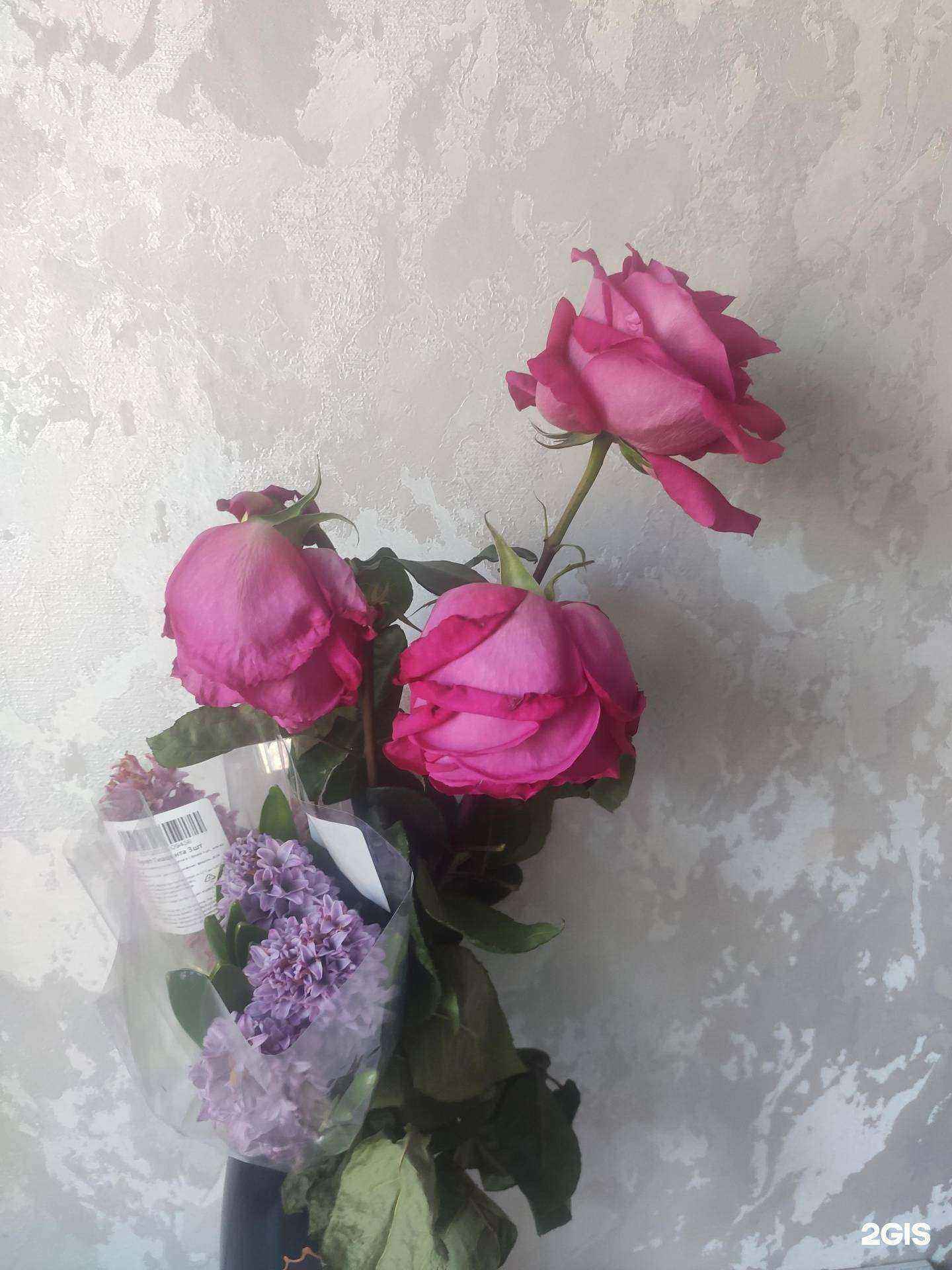 Отзывы на компанию Цветочный магазин в г. Новомосковск c фото