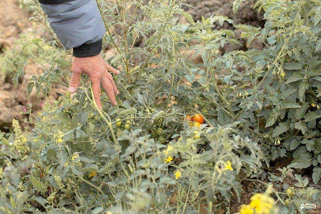 Отзывы на компанию Изопласт в Рязани c фото