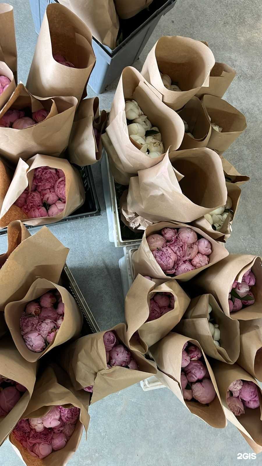 Отзывы на компанию Цветочный альянс в Краснодаре c фото