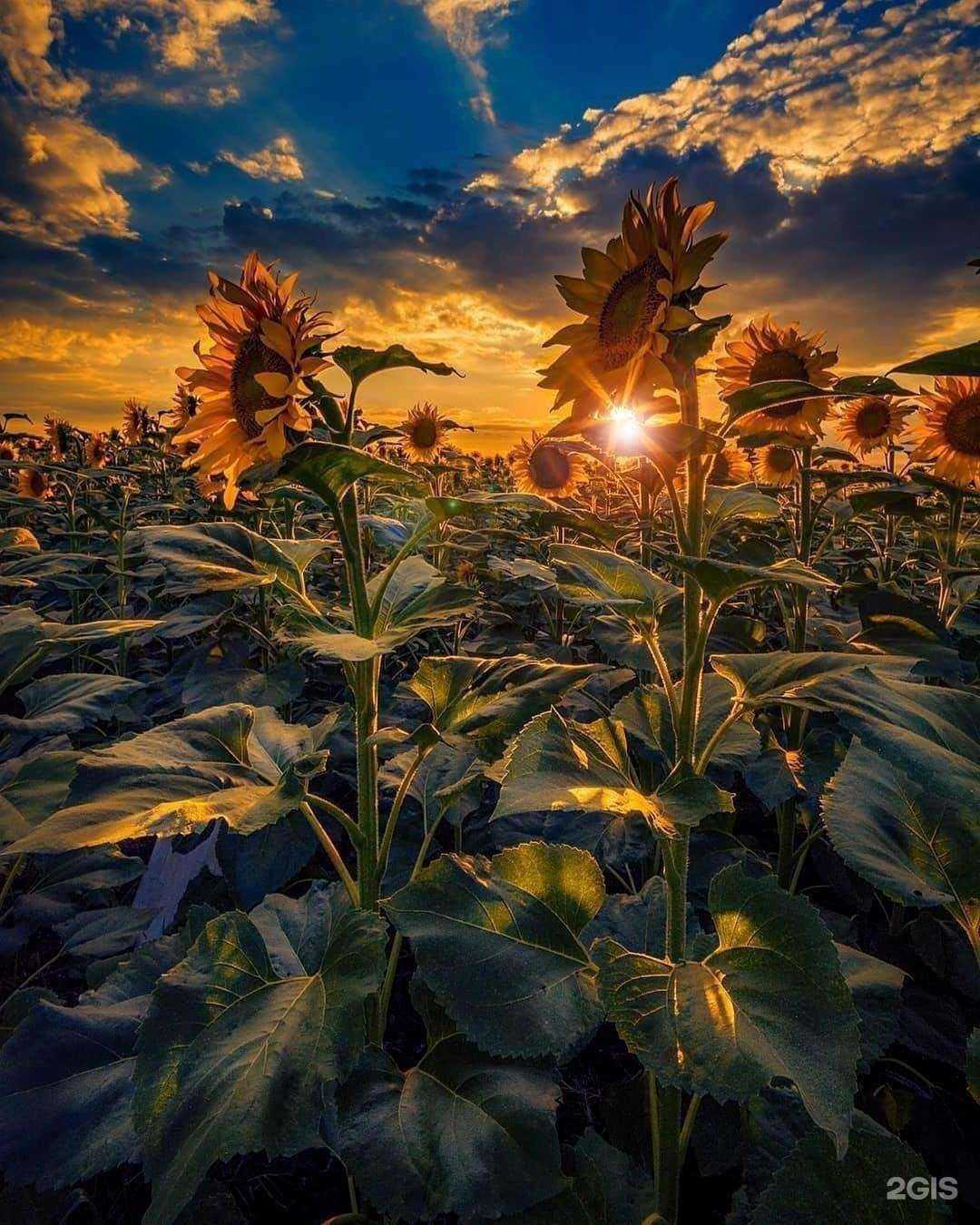 Отзывы на компанию Б-Агро в г. Барнаул c фото