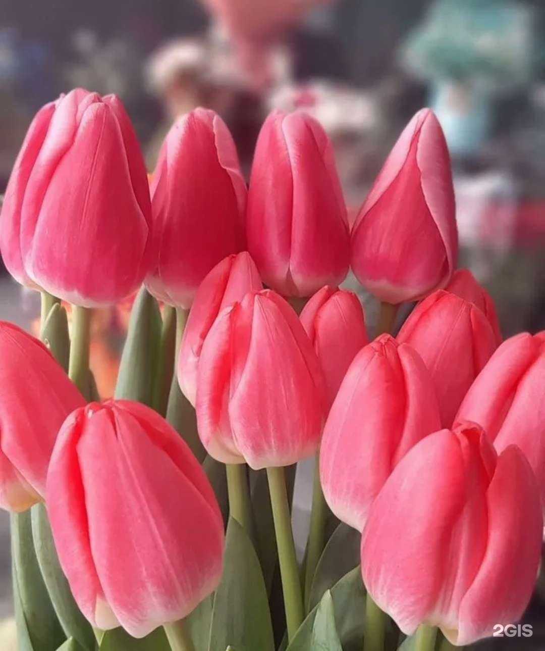 Отзывы на компанию Крокус в г. Барнаул c фото