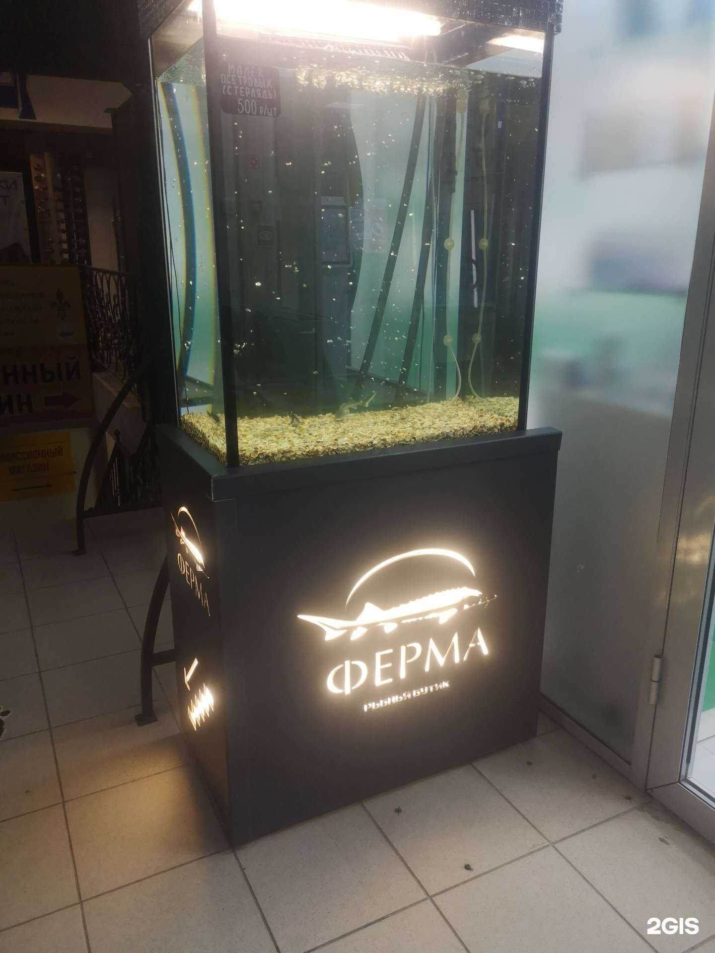 Отзывы на компанию Ферма в Пскове c фото