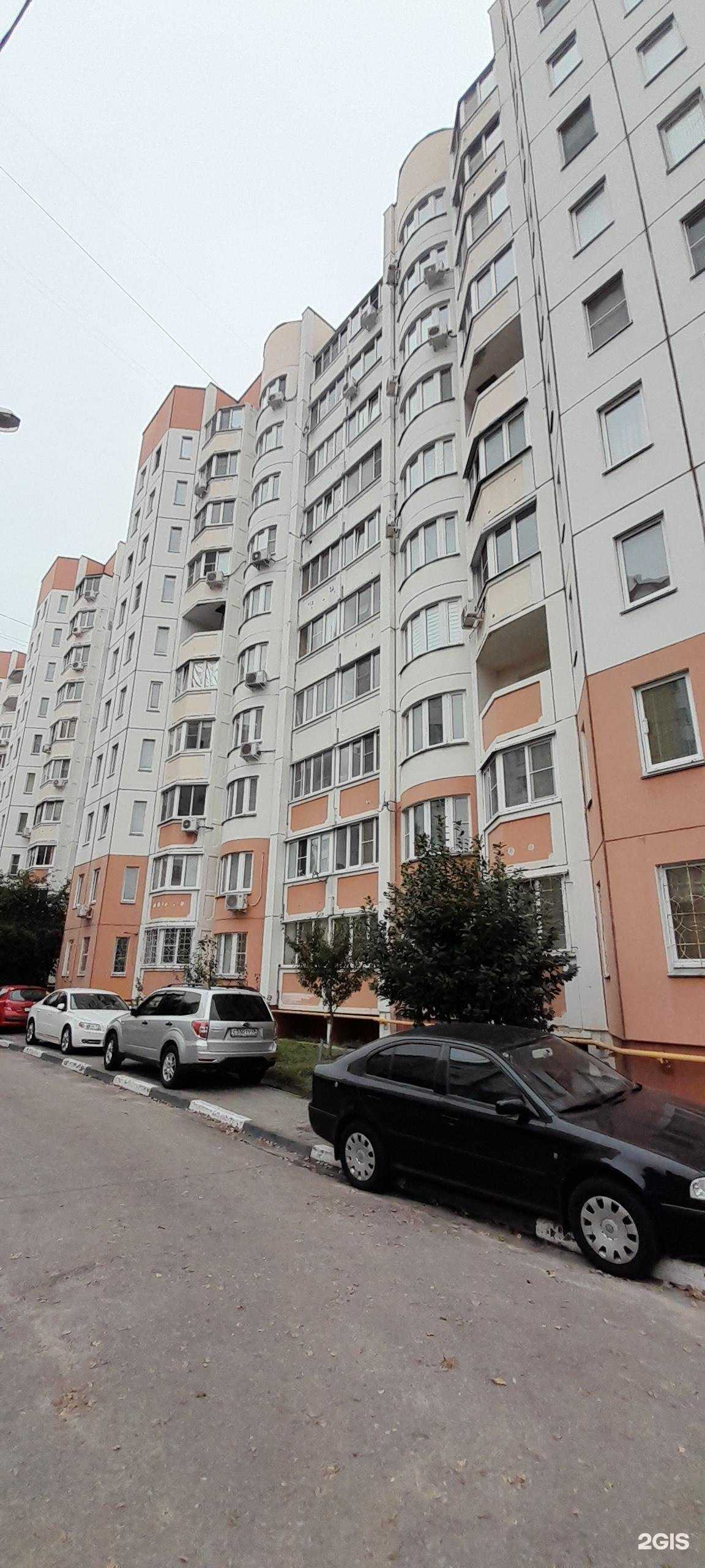 Отзывы на компанию Клумба в Воронеже c фото - фотография 2 из 2