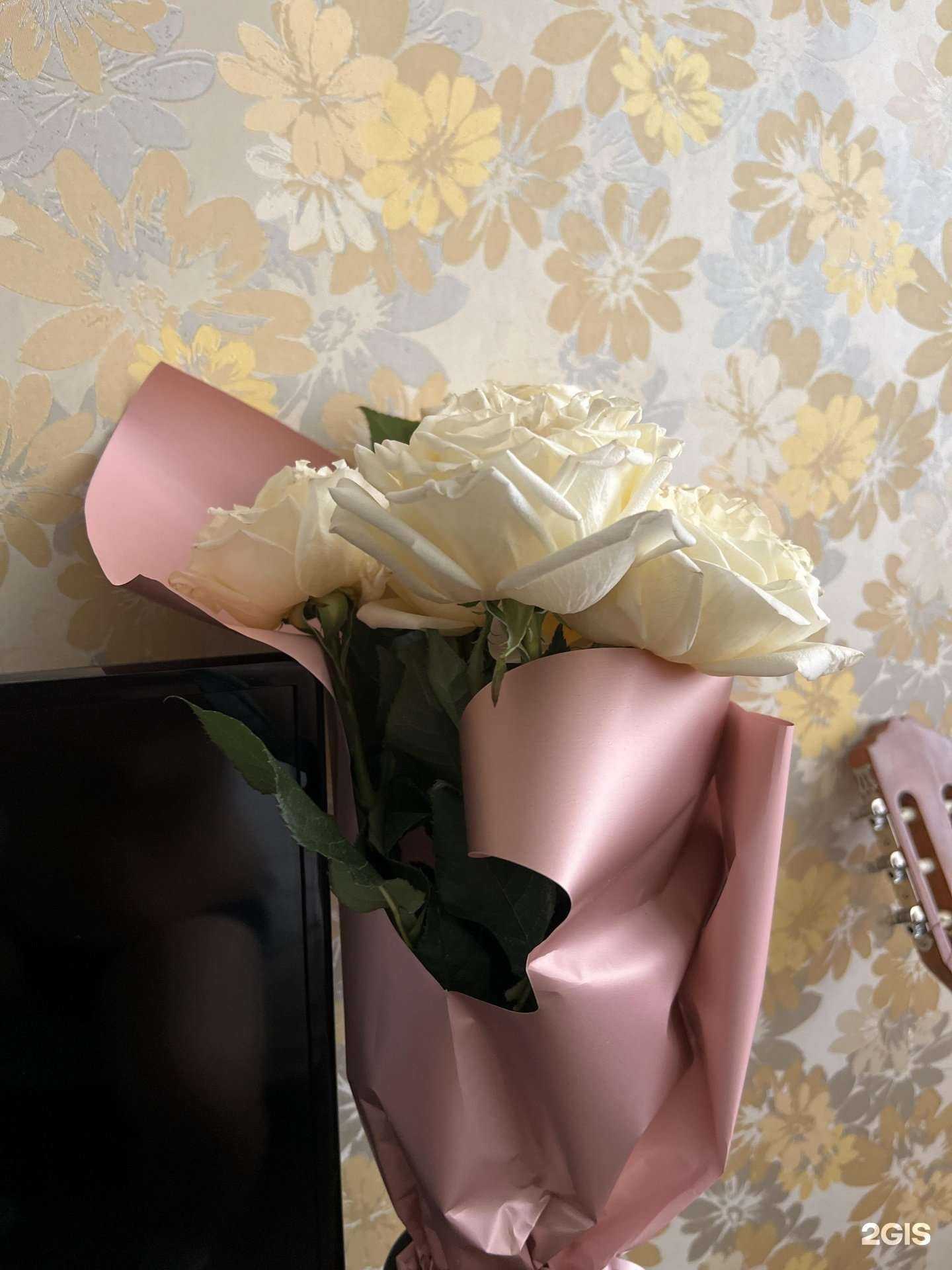 Отзывы на компанию У Венеры в Омске c фото