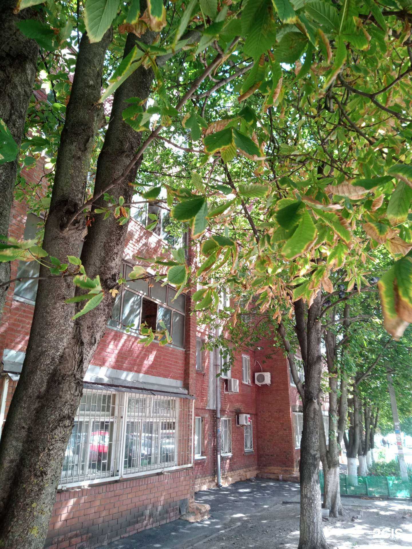 Отзывы на компанию Авангард в Ростове-на-Дону c фото - фотография 2 из 2