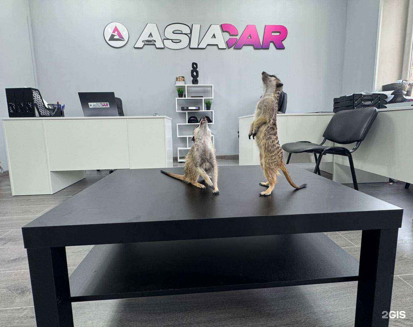 Отзывы на компанию Asiacar в г. Владивосток c фото