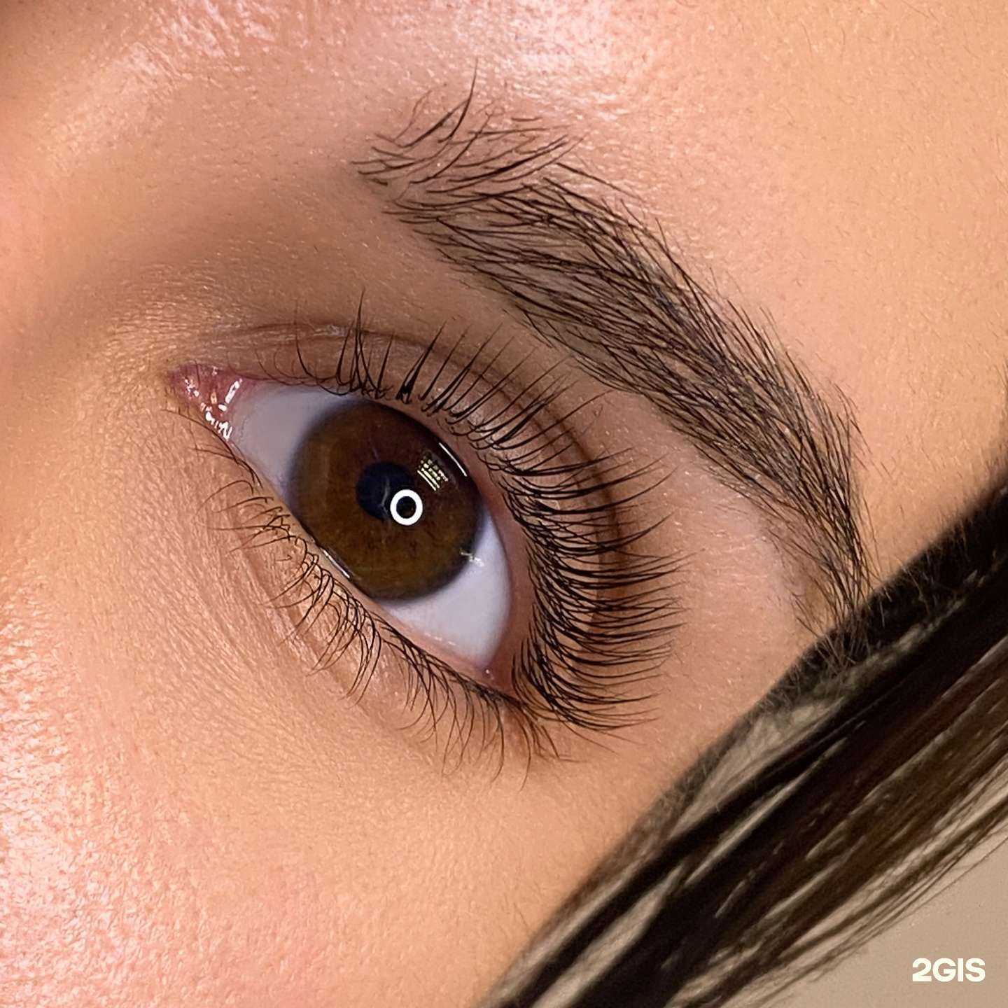 Отзывы на компанию Studio V в Екатеринбурге c фото