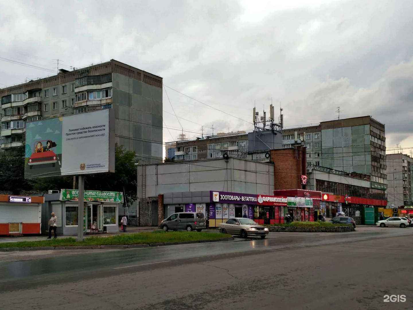 Отзывы на компанию Мокрый нос в Новосибирске c фото - фотография 2 из 2