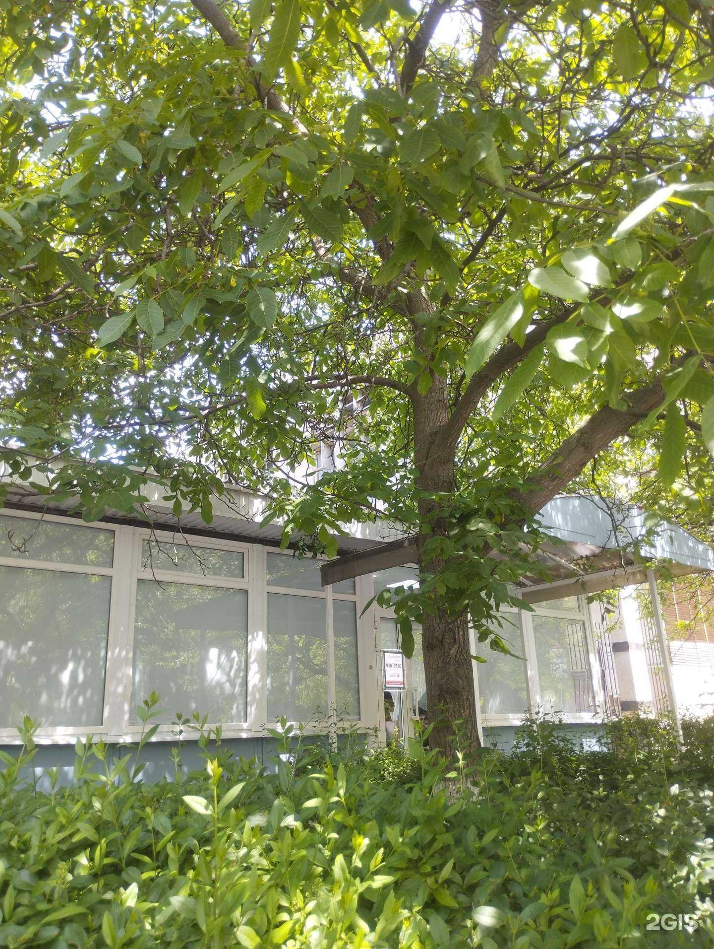 Отзывы на компанию Laser Planet в Ростове-на-Дону c фото