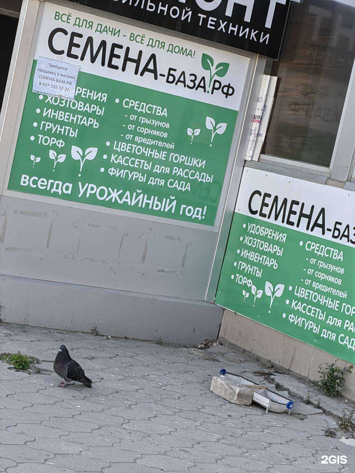 Отзывы на компанию Семена-база.рф в г. Волгоград c фото