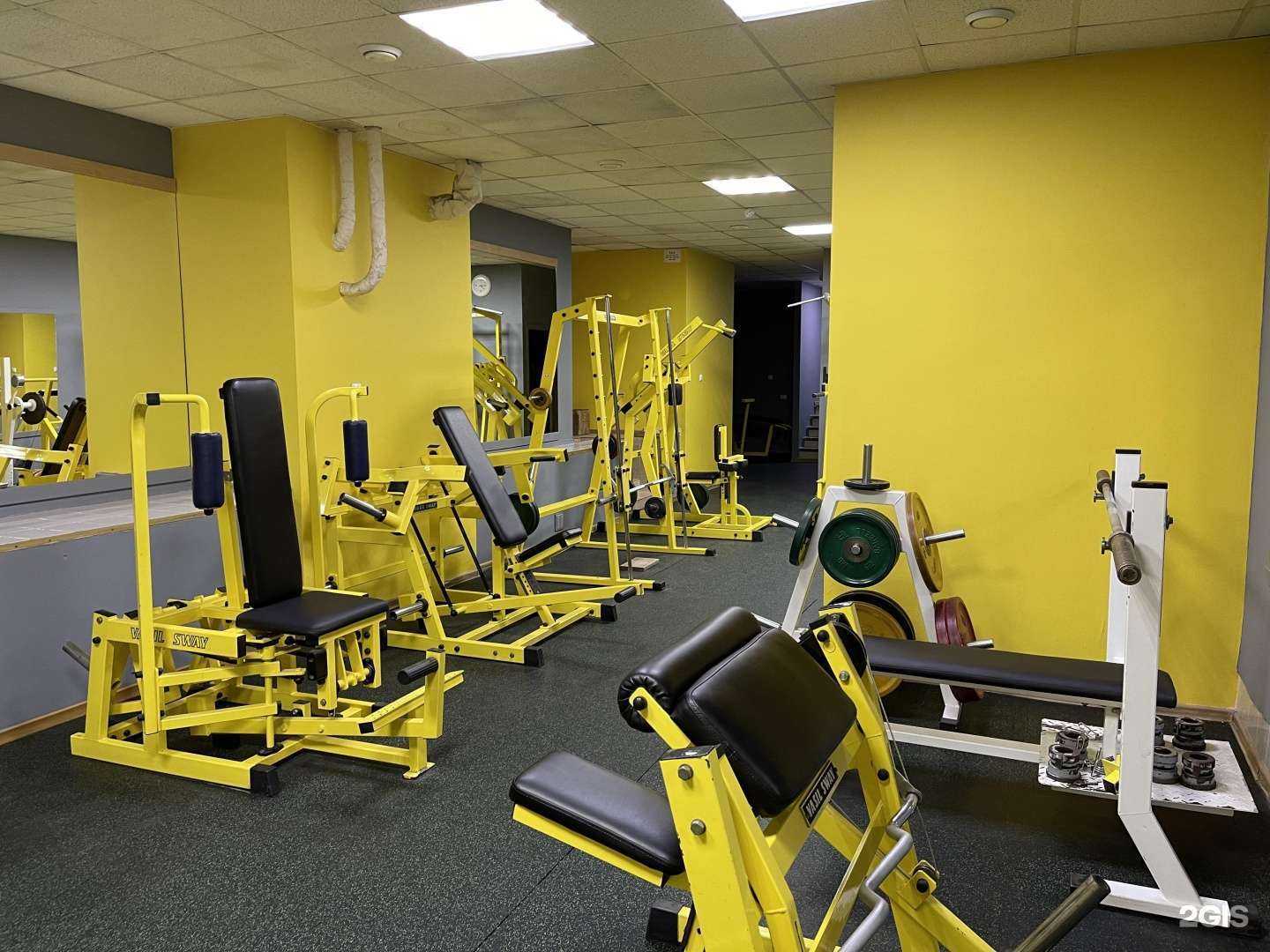 Отзывы на компанию Family fit в Новосибирске c фото