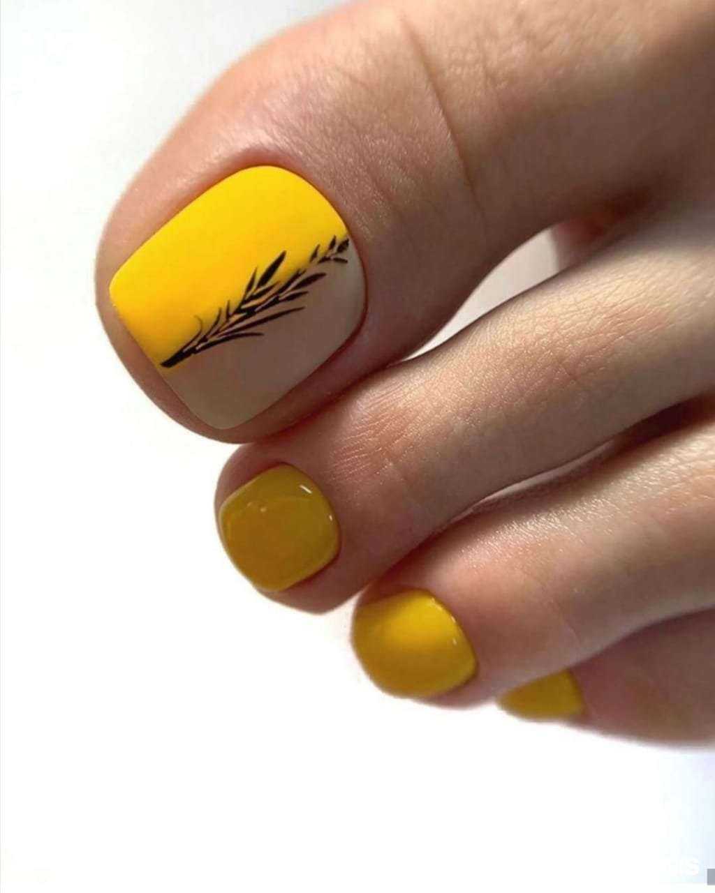 Отзывы на компанию Born в Новосибирске c фото