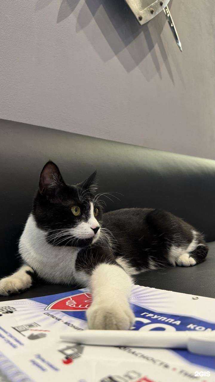 Отзывы на компанию Союз в Владивостоке c фото