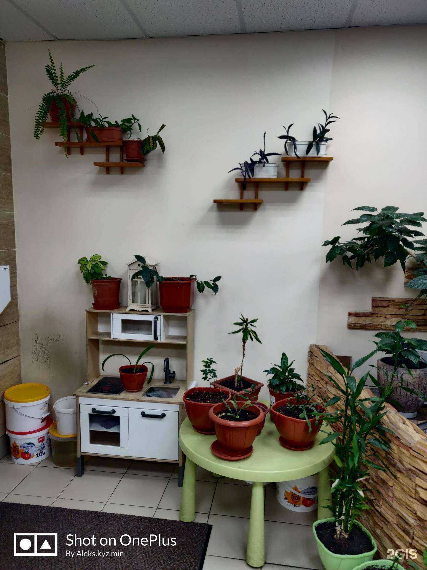 Отзывы на компанию Бублик в Мурманске c фото