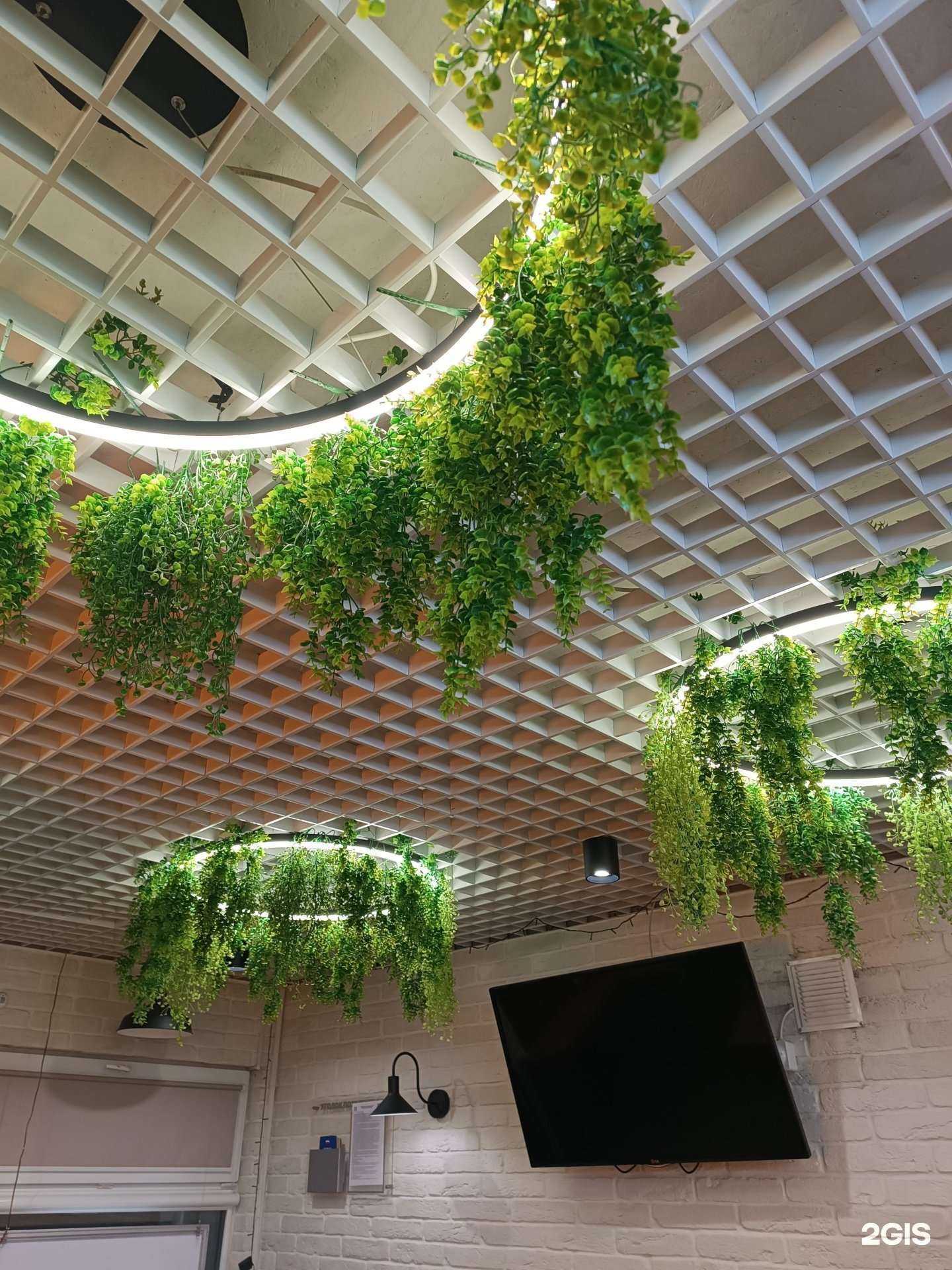 Отзывы на компанию Русские блины в Новосибирске c фото