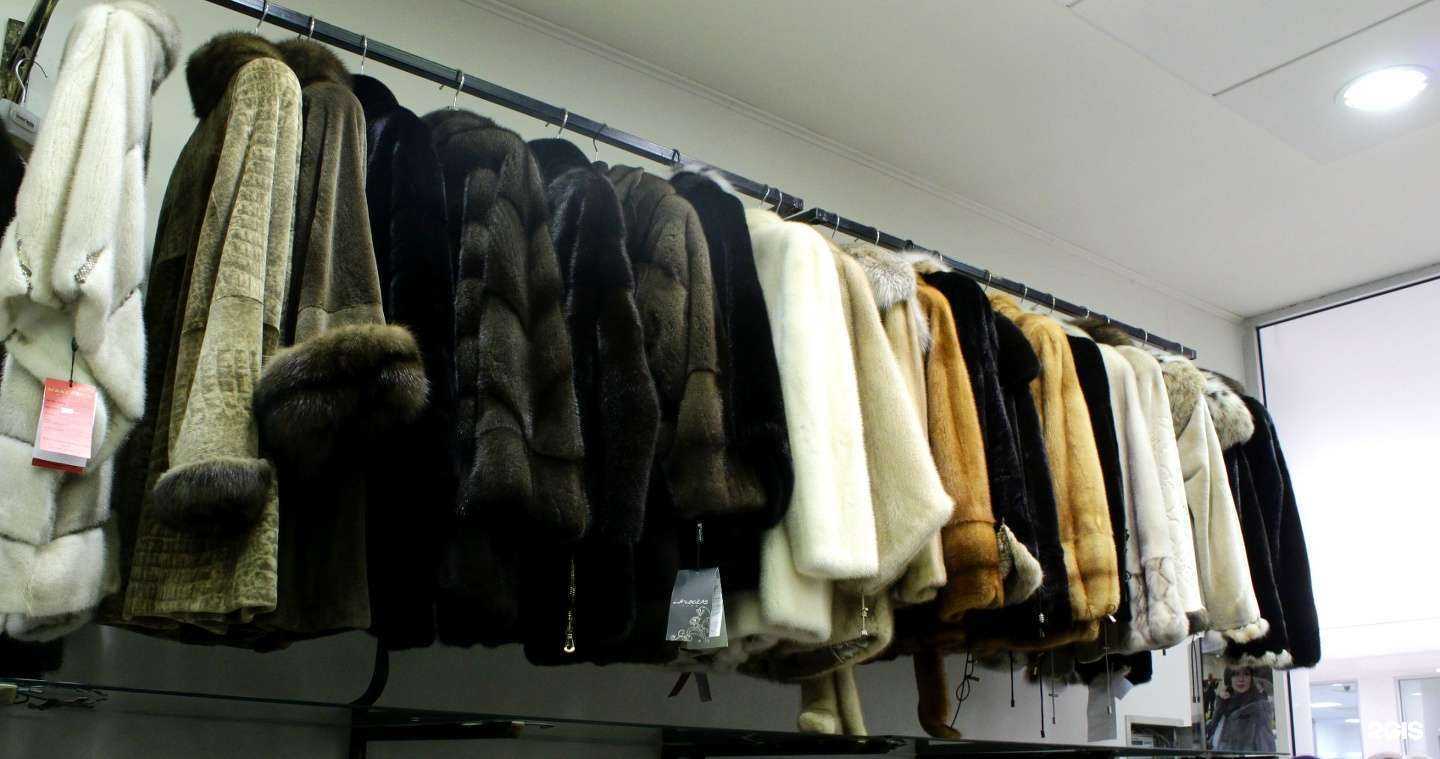 Отзывы на компанию Меха Флоренции в Астрахани c фото